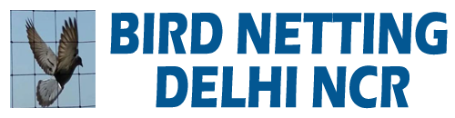 Bird Netting Delhi Ncr